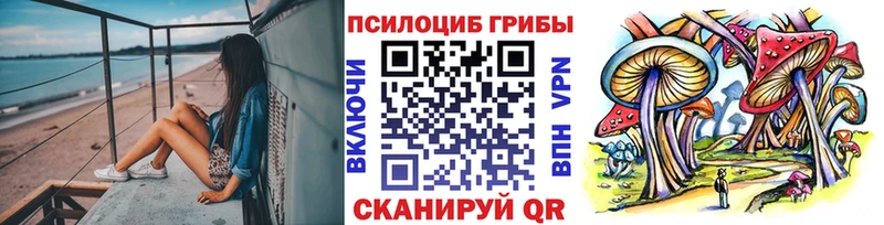 Купить закладки  Бахчисарай  Галлюциногенные грибы Psilocybe 